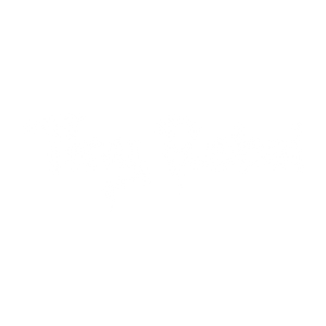 Tiny Rebel